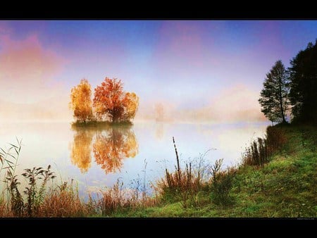 Terra - apart, fall, trees, water, two, grass, sky, leaves