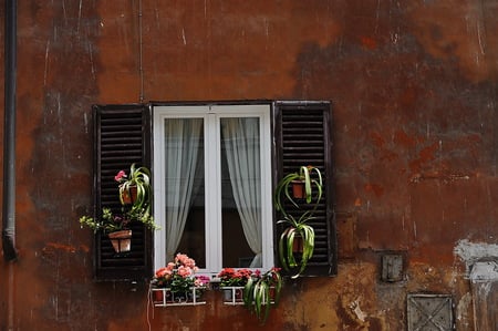 Behind the window - woman, speaking, window, wall, flowers