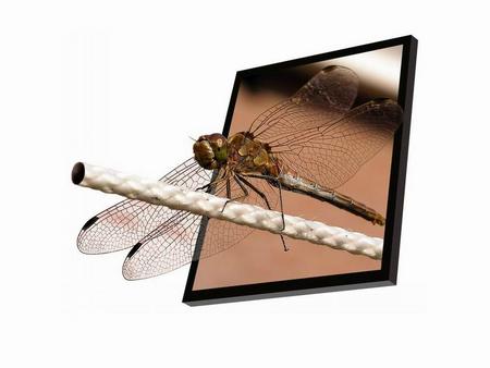 dragonfly - plazma, rope, dragonfly, 3d