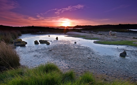 Beautiful... - sky, dry, peaceful, colorful, sunset, drought, field, rocks, various, sheep, river, clouds, beautiful nature, grass, lake, summer, nature, beautiful, colors