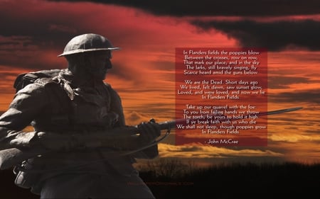 FLANDERS FIELDS