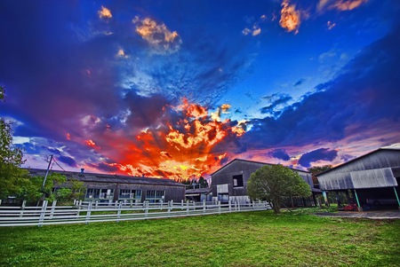 very nice sunset - sky, blue, clouds, tree, sunset, grass, buildings