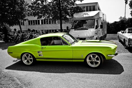 Mustang - ford, mustang