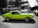 Mustang