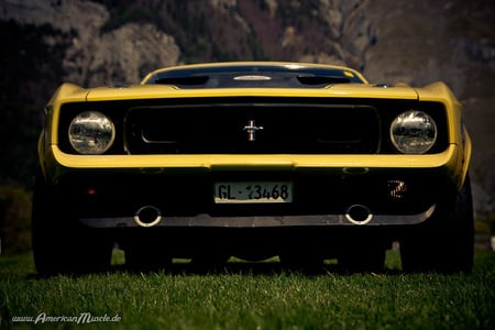 Stang - ford, mustang