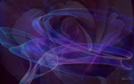 Hidden Beauty - swirls, colors, rose, widescreen, flower