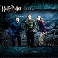 Harry Potter and the Order of the Phoenix