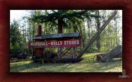 Old Logging Equipment - autumn, equipment, field, widescreen, washington, fall, logging, old, framed