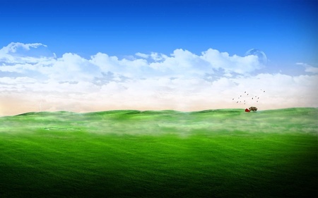 Landscape (WDS) - widescreen, green, photography, mist, landscape, wds