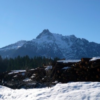 Darrington Log Yard