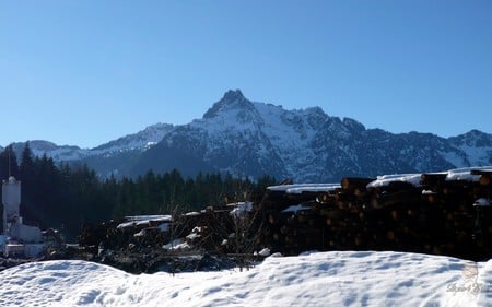 Darrington Log Yard - widescreen, logs, winter, snow, washington, mountain