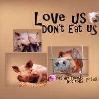 Love Us, Don't Eat Us