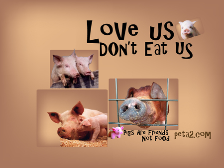 Love Us, Don't Eat Us - value a life, peta2, meat, people for the ethical treatment of animals, chicken, cows, animal rights activism, peta, fish