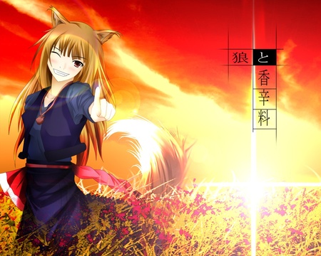 Spice And Wolf - anime, ears, girl, cute, spice and wolf, tail