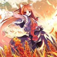 Spice And Wolf