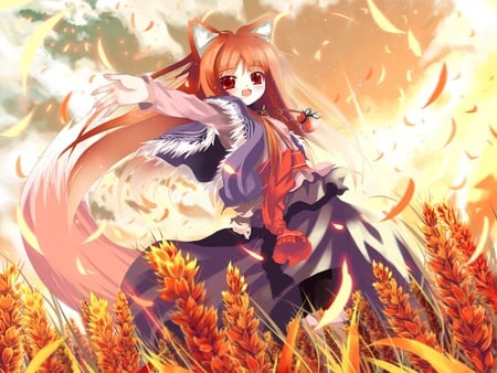 Spice And Wolf - anime, ears, girl, cute, spice and wolf, tail