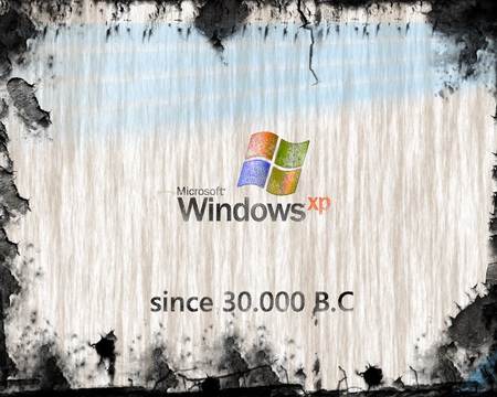 Old XP - xp, microsoft, wimdows, old