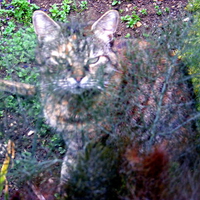 Erica hiding behind the fennel.