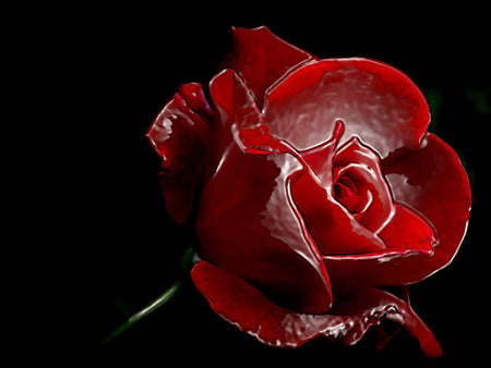 Red RoSE  2. jpg - love, romance, glows elegante