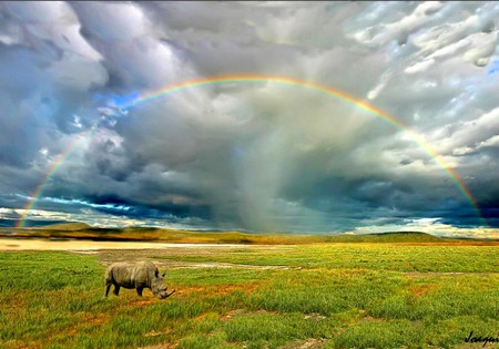 Rainbow - picture, rainbow, cool