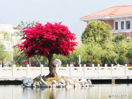 Standing out - fence, lake, red, water, leaves, tree, house, rocks