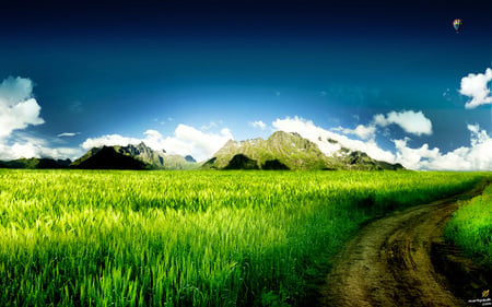 Hot Air Balloon - balloon, field, nature, grass