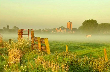 English Mist - fence, cows, trees, house, field, pasture