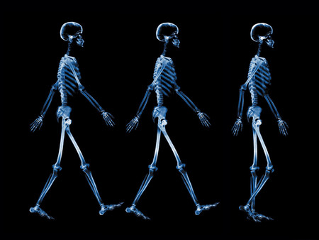 walking skeletons - skeletons, walking, blue