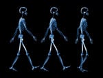 walking skeletons