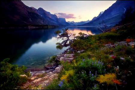 Mountain's Flora - lake, water, sunset, flowers, mountains, rocks