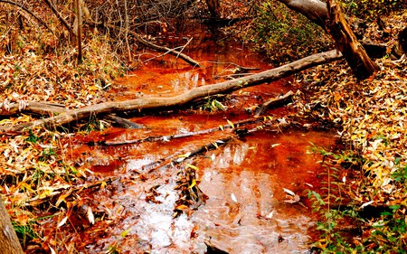 Autumn - nature, rivers, autumn, forests