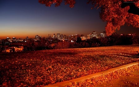 Awesome View - nature, modern, autumn, city, architecture