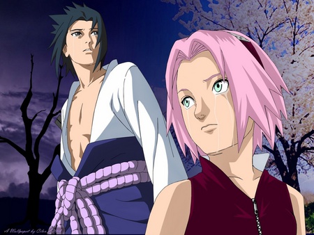 SASUSAKU - ninja, anime, sakura, naruto, sasuki