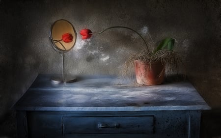 Tulip Vanity  - flowers, table, entropy, mirror