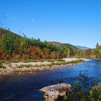 Fall Foliage  