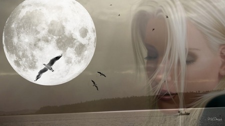 Moon Dreamer - moon, birds, collage, girl, washington, firefox persona, widescreen, sky, bay