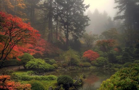 Foggy Japanese Garden