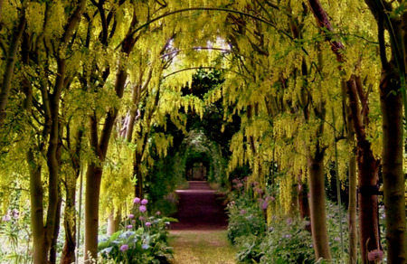 Golden Archway - flowers, trees, gardens, yellow flowers, steps