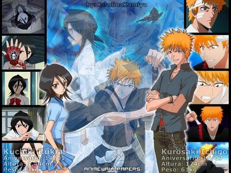 Ichigo and Rukia - ichigo, anime couple, rukia, bleach