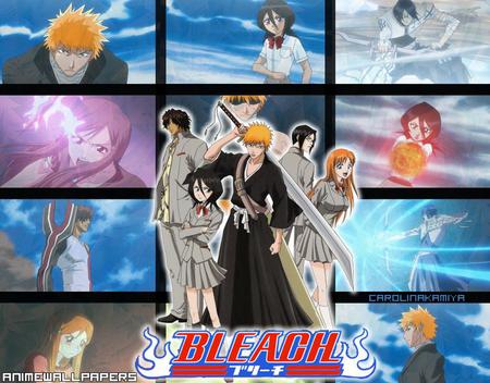 Greatest Human 5 - sado, inoue, rukia, bleach, ishida, ichigo