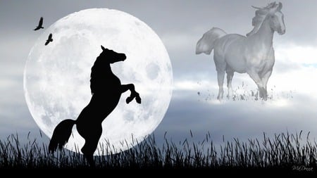 Ghost Horse - moon, ghost, sky, horse, firefox persona, widescreen, birds