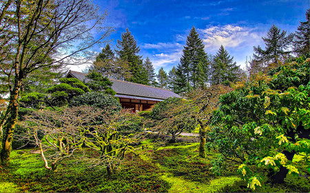 Garden Beauty - house, landscape, beauty, garden