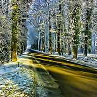 Winter Golden Journey