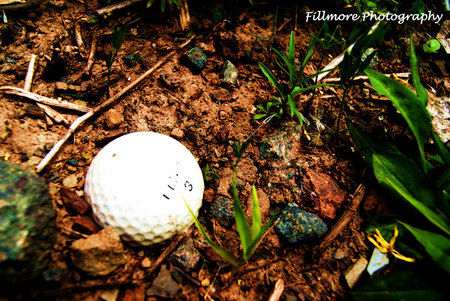 Lost Ball - sports, ball, green, photography, golf, fillmore