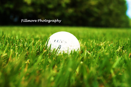 Ready to swing - sports, ball, green, photography, grass, golf, fillmore