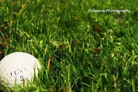 Golf ball - - sports, ball, green, photography, grass, golf, fillmore