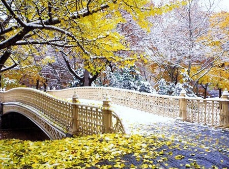 The little white bridge - white, fall, trees, leaves, ornate, bridge