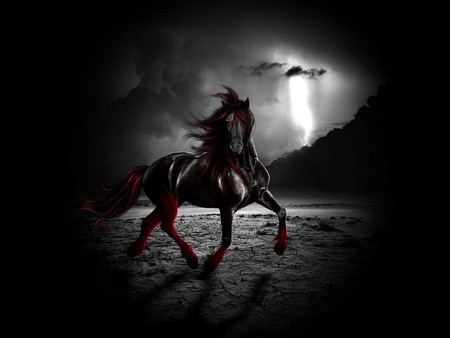 FANTASY RED - animal, black, horse, red