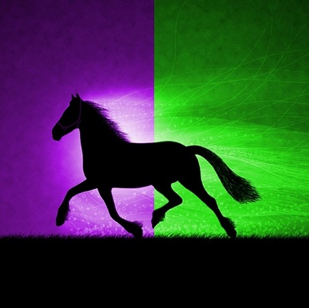 Miss to the rest - black, animal, purple, energy, green, horse, rest, miss