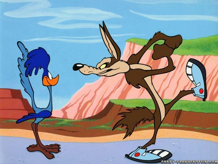 Roadrunner and Coyote  - entertainment, funny, cartoon